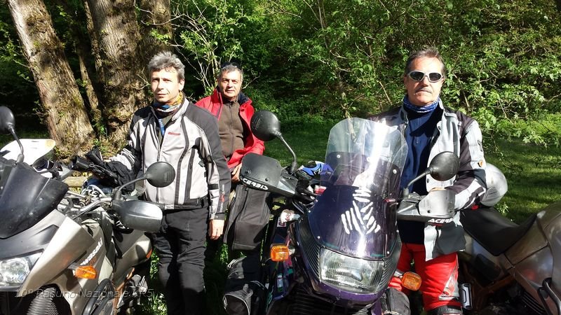 31 i Saggi del gruppo.jpg